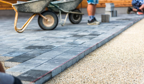 Best Concrete Walkway Installation  in Chatfield, MN